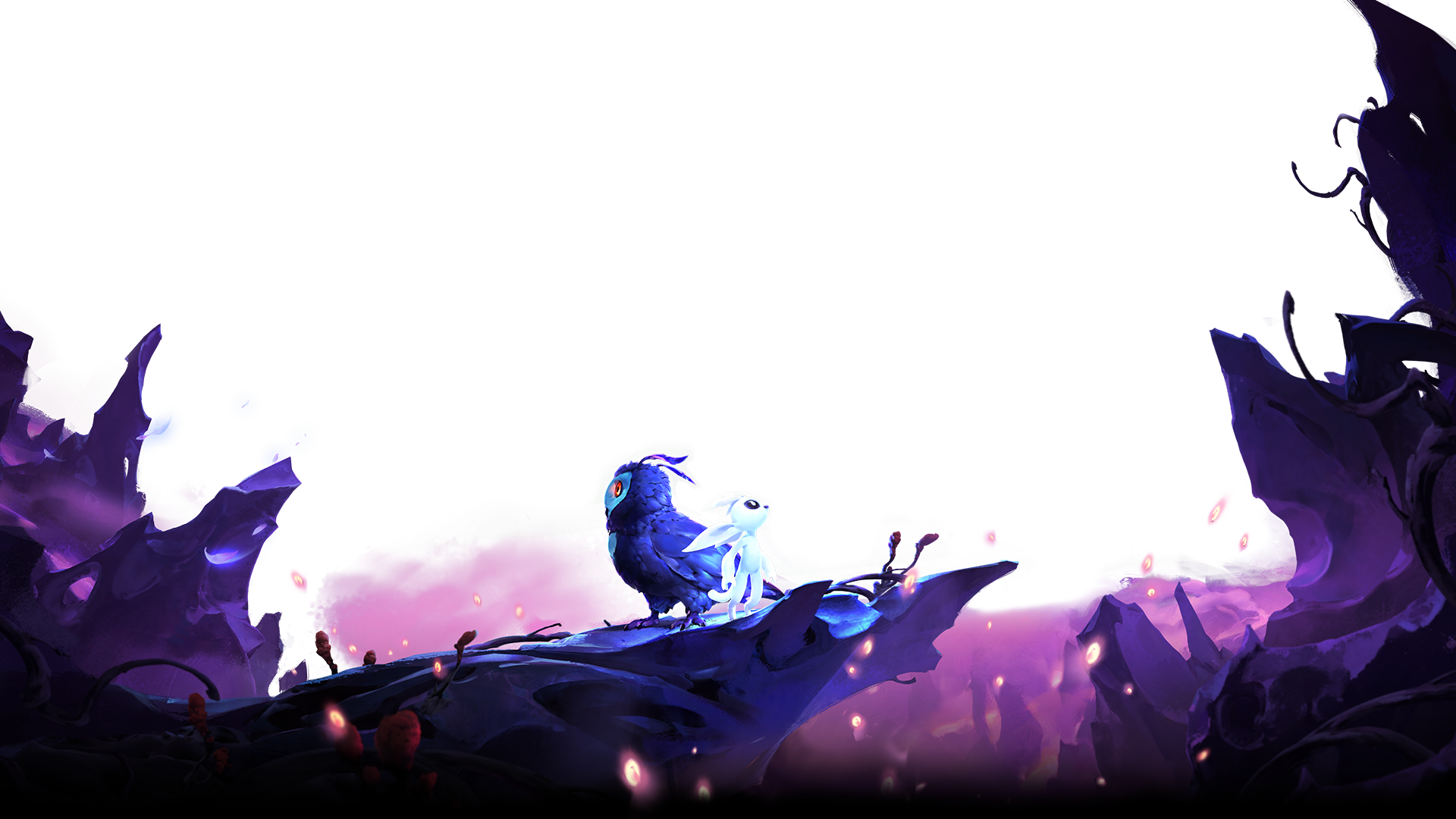 link zur animation